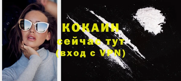шишки Сясьстрой