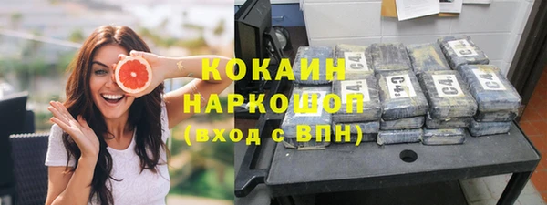 твердый Няндома