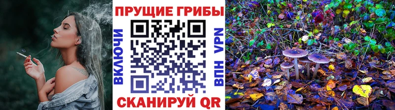 shop состав  хочу наркоту  Волоколамск  Псилоцибиновые грибы Cubensis 