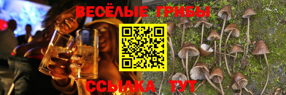 Галлюциногенные грибы ЛСД  Галлюциногенные грибы мухоморы  Вход с VPN  Волоколамск 
