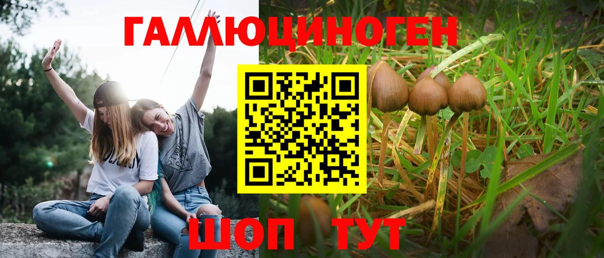 Галлюциногенные грибы MAGIC MUSHROOMS Волоколамск