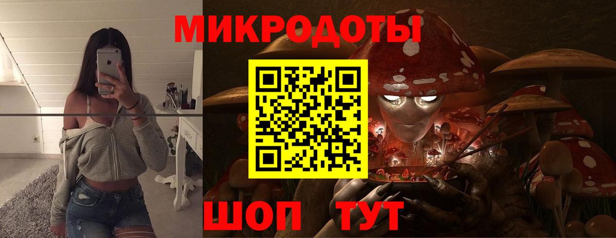 Галлюциногенные грибы мицелий Волоколамск