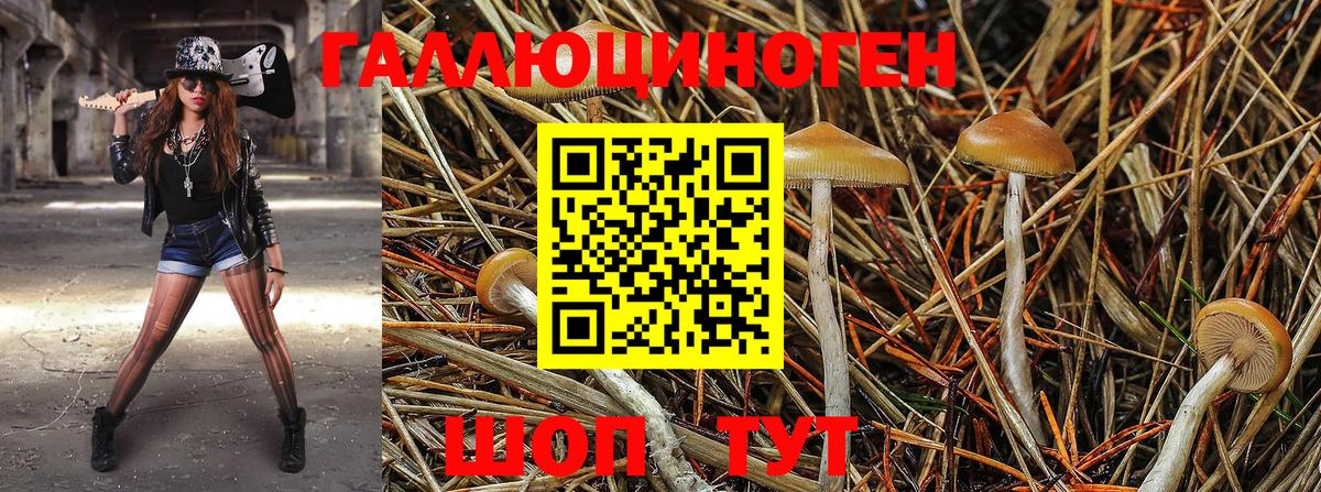 Галлюциногенные грибы мухоморы  Волоколамск  Галлюциногенные грибы MAGIC MUSHROOMS 